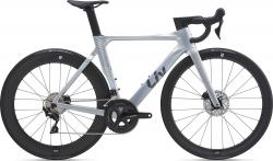 Велосипед Giant Enviliv Advanced Pro 2 Disc 28" (2021) - фото