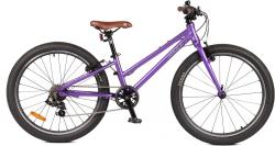 Велосипед Shulz Chloe 24 Race - фото