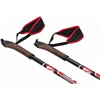 Палки лыжные Slegar, гибрид (35%/65%) - фото