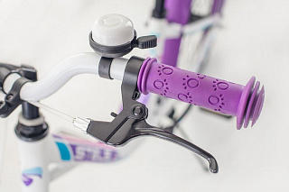 Велосипед STELS Pilot-250 Lady 20" V010 - фото