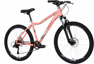 Велосипед Welt Floxy 1.0 HD 26 Promo (2023) - фото