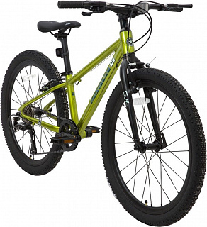 Велосипед Maxiscoo 5BIKE 24 M (2024) - фото