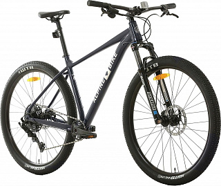 Велосипед Alpinebike MTB 10 AIR 29 (2024) - фото