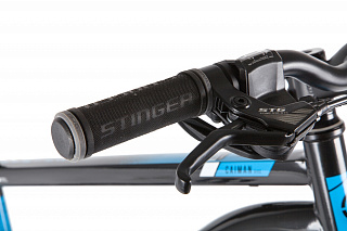 Stinger Caiman D 24" (2020) - фото