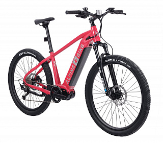 Электровелосипед Alpinebike Finsteraarhorn - фото