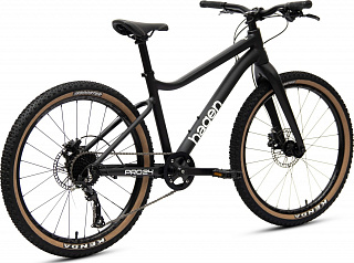 Велосипед Hagen Teen Pro 24 Carbon (2024) - фото