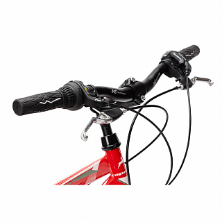 Велосипед CAPRIOLO PASSION LADY 26'' (2023) - фото